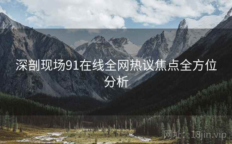 深剖现场91在线全网热议焦点全方位分析