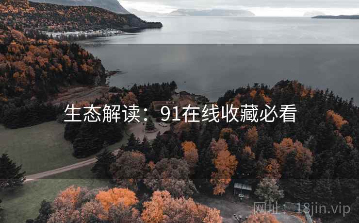 生态解读：91在线收藏必看