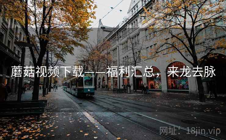 蘑菇视频下载——福利汇总，来龙去脉