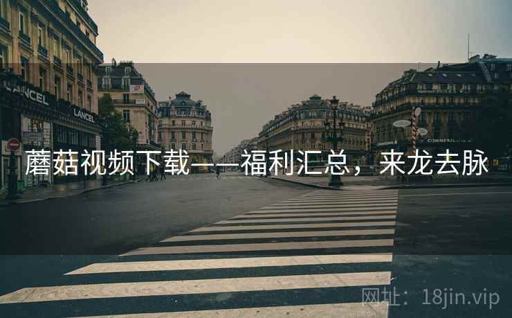 蘑菇视频下载——福利汇总，来龙去脉