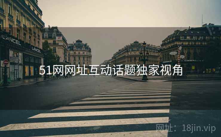 51网网址互动话题独家视角