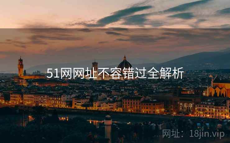 51网网址不容错过全解析