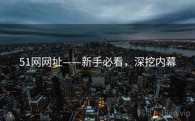 51网网址——新手必看，深挖内幕