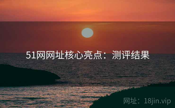 51网网址核心亮点：测评结果