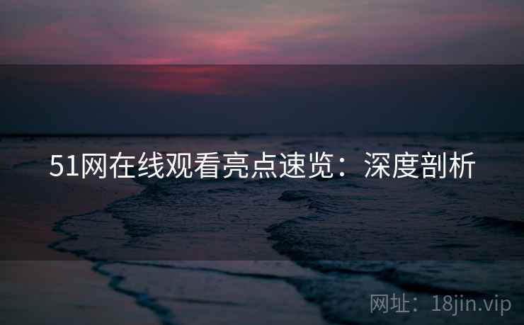 51网在线观看亮点速览：深度剖析