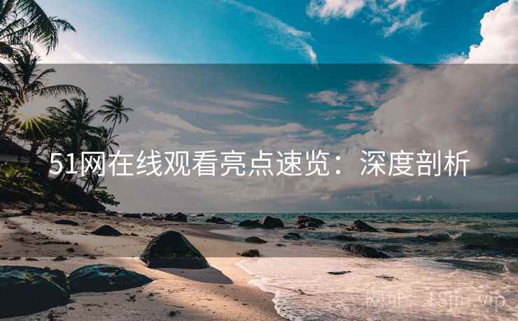 51网在线观看亮点速览：深度剖析