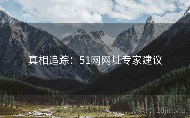 真相追踪：51网网址专家建议