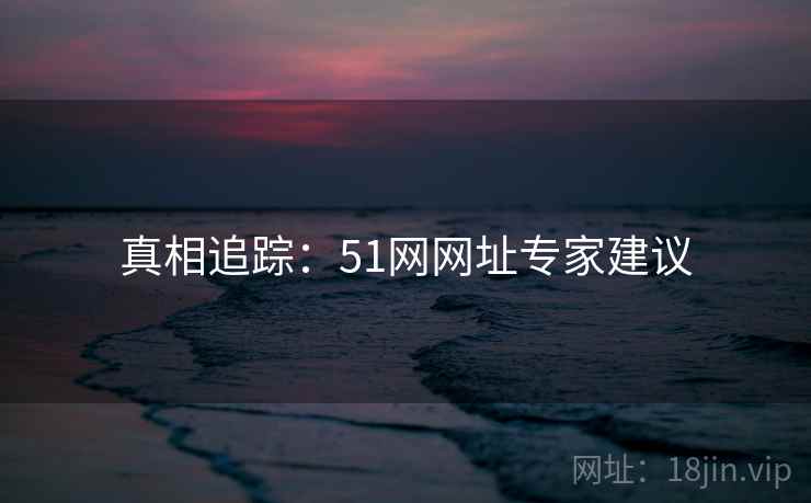 真相追踪：51网网址专家建议