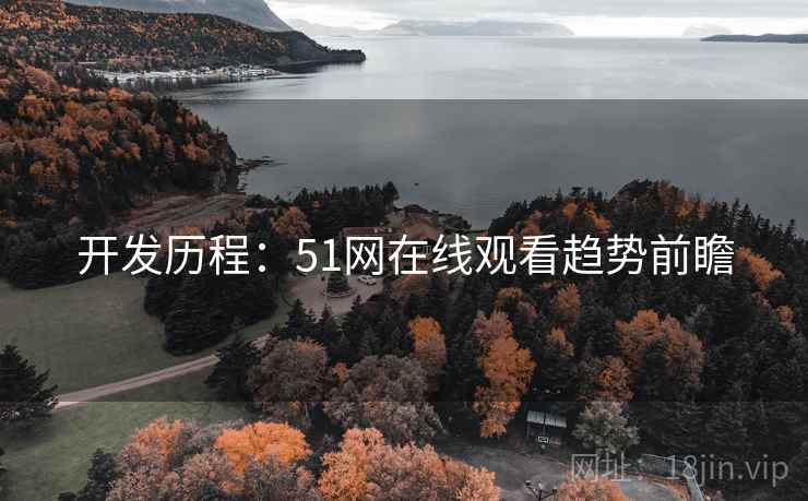 开发历程：51网在线观看趋势前瞻
