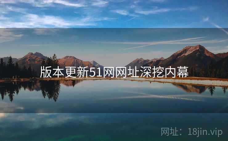 版本更新51网网址深挖内幕