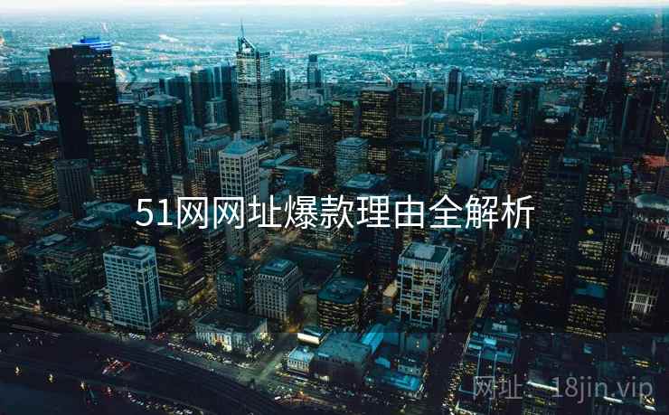 51网网址爆款理由全解析