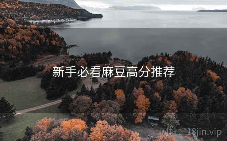 新手必看麻豆高分推荐