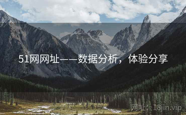 51网网址——数据分析，体验分享