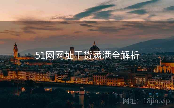 51网网址干货满满全解析