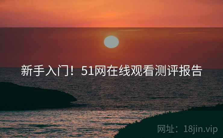 新手入门！51网在线观看测评报告