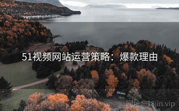 51视频网站运营策略：爆款理由