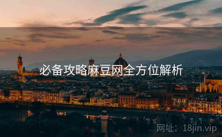 必备攻略麻豆网全方位解析