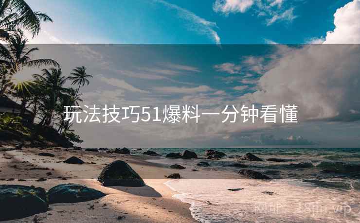 玩法技巧51爆料一分钟看懂