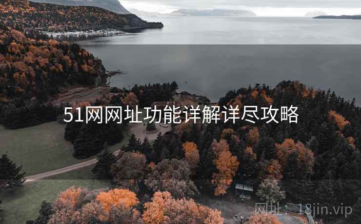 51网网址功能详解详尽攻略