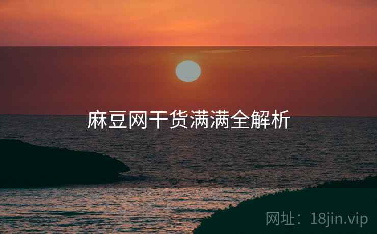 麻豆网干货满满全解析