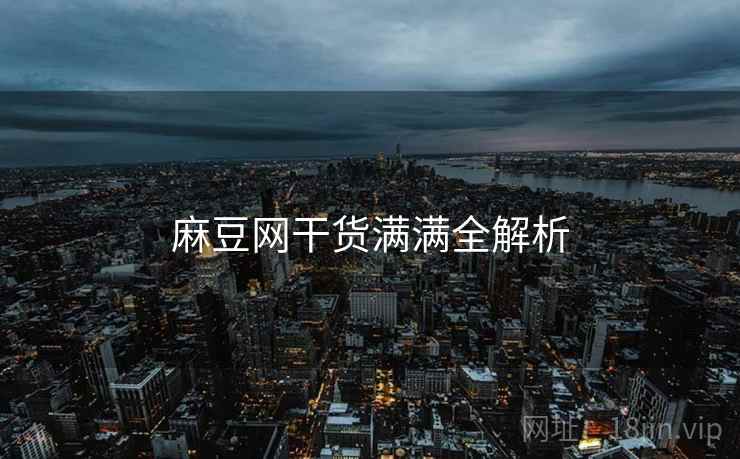 麻豆网干货满满全解析