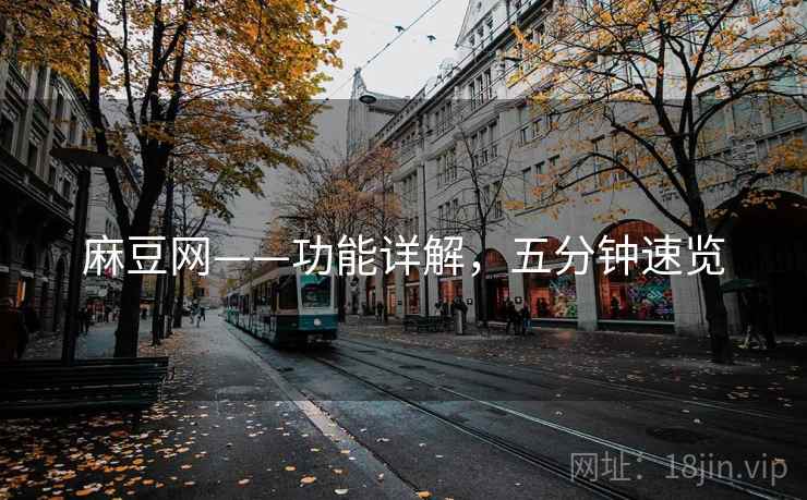 麻豆网——功能详解，五分钟速览
