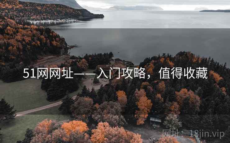 51网网址——入门攻略，值得收藏