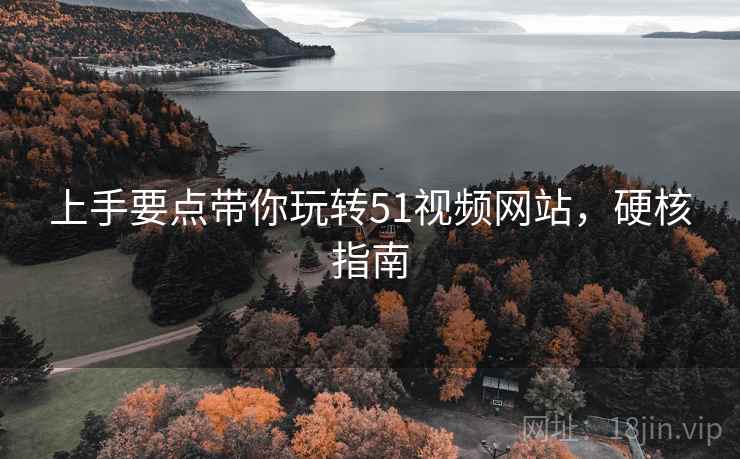 上手要点带你玩转51视频网站，硬核指南