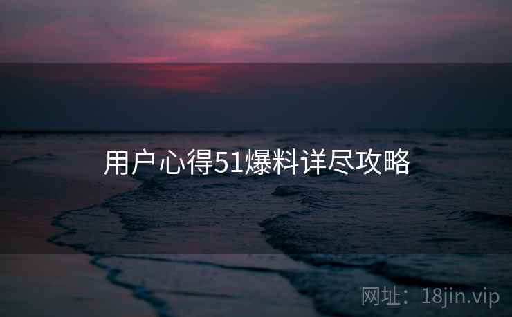 用户心得51爆料详尽攻略