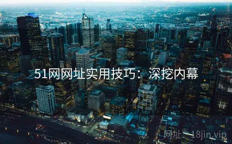 51网网址实用技巧：深挖内幕