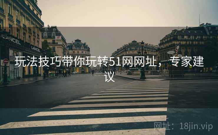 玩法技巧带你玩转51网网址，专家建议