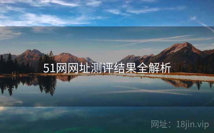 51网网址测评结果全解析