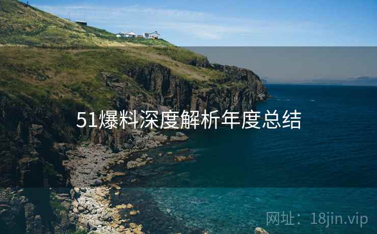 51爆料深度解析年度总结