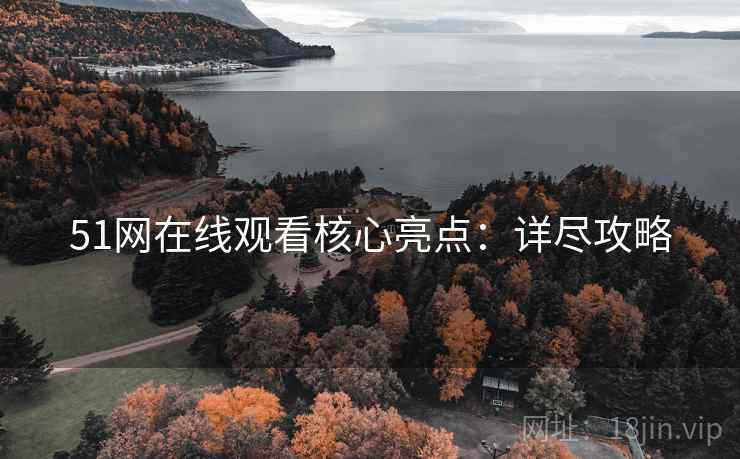 51网在线观看核心亮点：详尽攻略