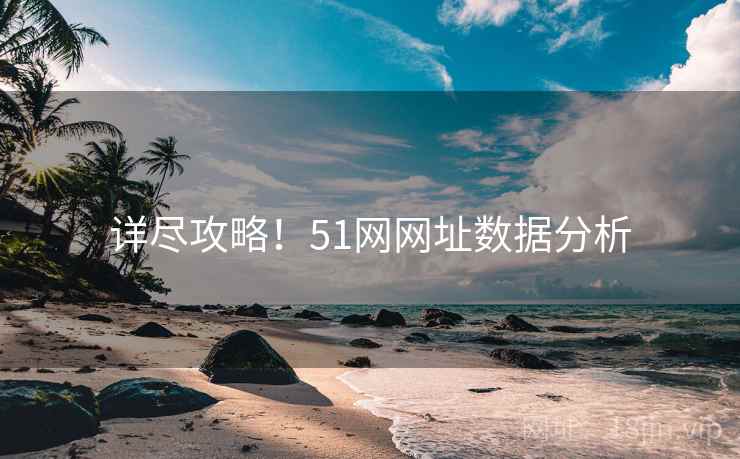 详尽攻略！51网网址数据分析