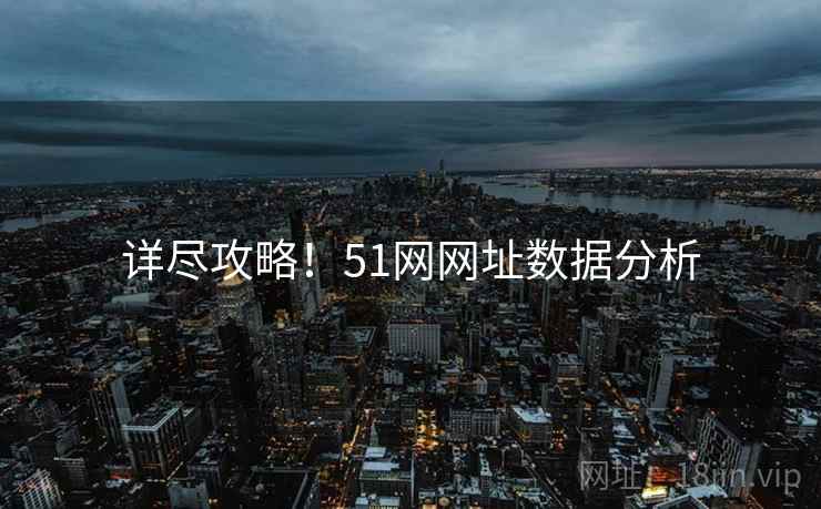 详尽攻略！51网网址数据分析