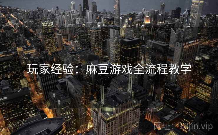 玩家经验：麻豆游戏全流程教学