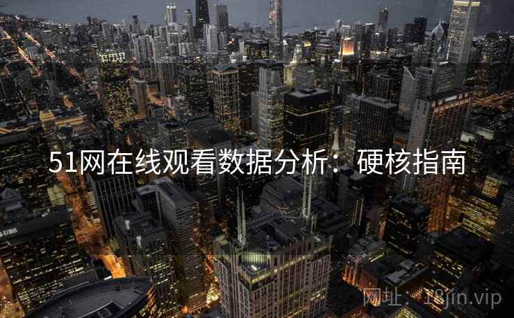 51网在线观看数据分析：硬核指南