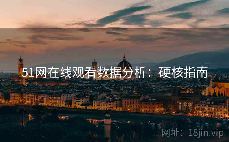 51网在线观看数据分析：硬核指南