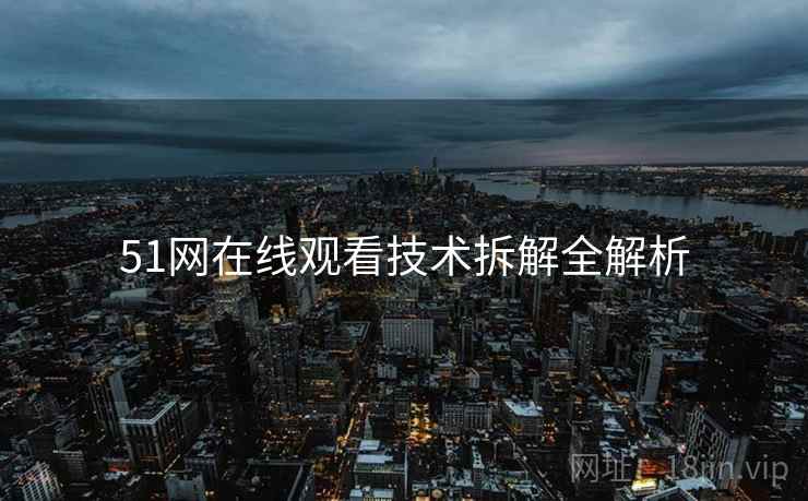 51网在线观看技术拆解全解析