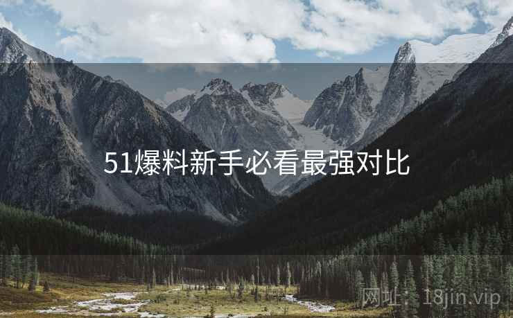 51爆料新手必看最强对比