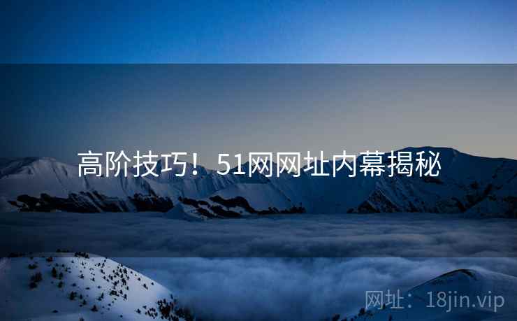 高阶技巧！51网网址内幕揭秘