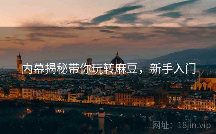 内幕揭秘带你玩转麻豆，新手入门