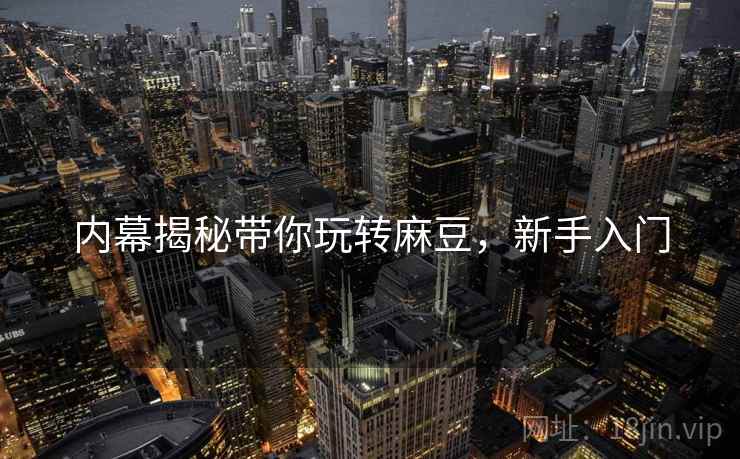 内幕揭秘带你玩转麻豆，新手入门